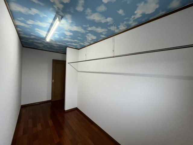 植柳元町戸建ての収納