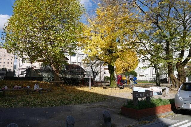 アルファレガロ大橋通の周辺|高知市役所まで636m 