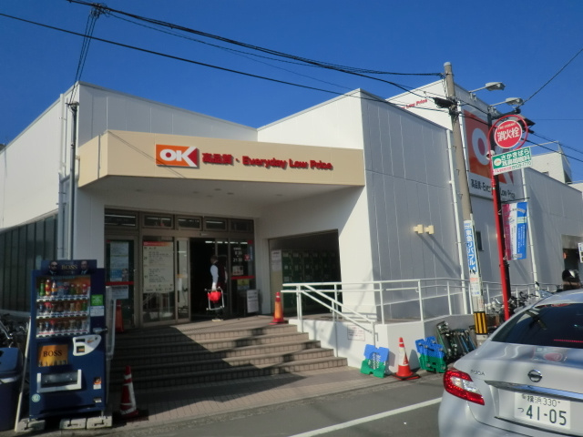 テルージュ菊名Ⅱのその他|オーケーディスカウントスーパーマーケット妙蓮寺