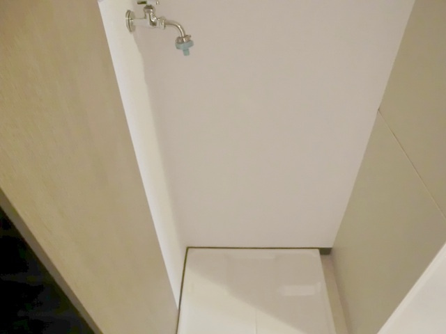 リリックコート翔の設備|室内洗濯機置き場デス(*^^)v