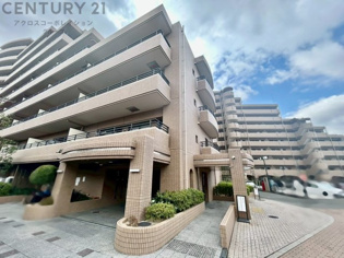 鉄筋コンクリート造11階建て
