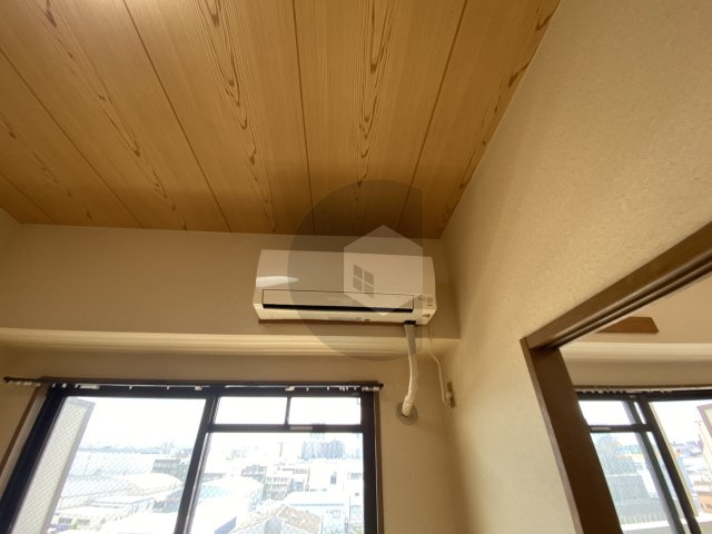 ニュープリーメルのその他