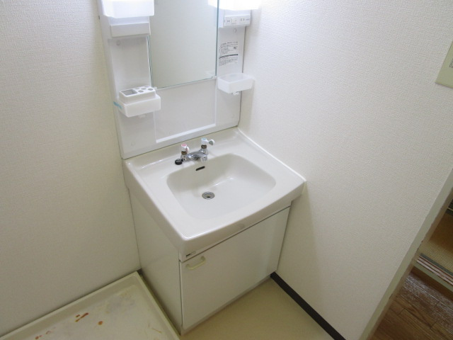 メゾン辻の洗面所