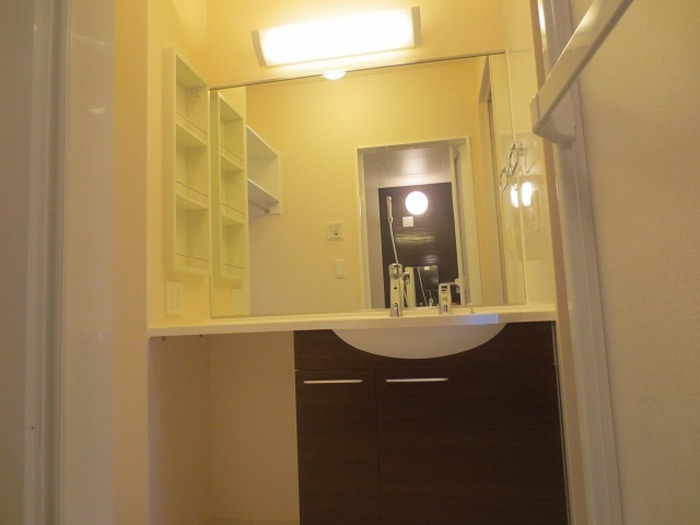 グラン・プラース Ｆの洗面所|洗面所