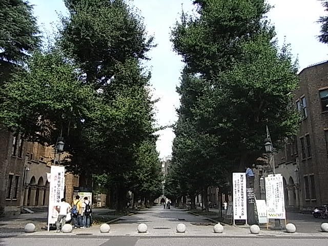 CASA EST CORTAの周辺