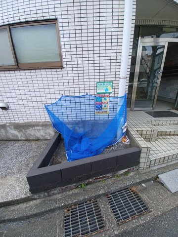 ローラ中央のその他