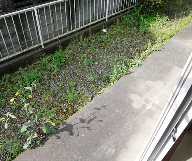 カーサKOYANAGIの庭