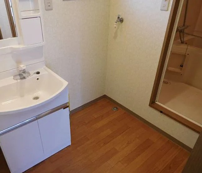 カーサKOYANAGIの洗面所