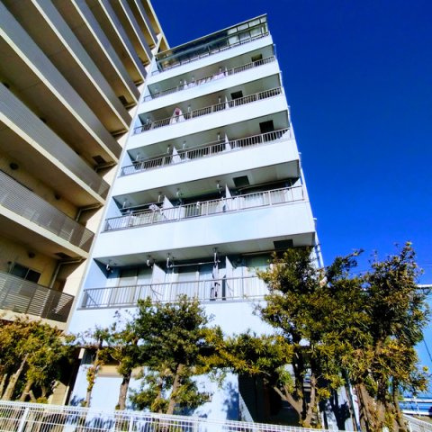 江戸川区篠崎町５丁目の賃貸マンション