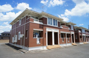 ｐｉｎｅ　ｄｒｏｐ　Ｂの画像