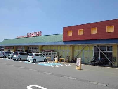【周辺】 | ｐｉｎｅ　ｄｒｏｐ　Ｂ | フードマーケットカスミ結城店まで750m