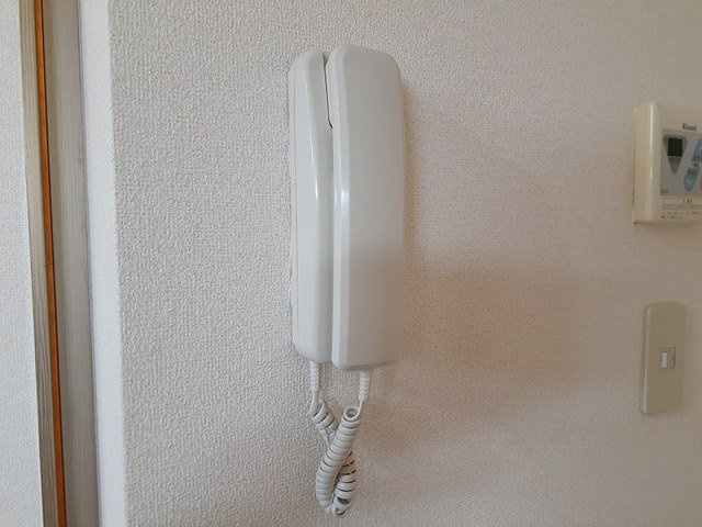 【セキュリティ】 | カーサヴィオラ