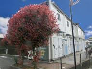 レオパレス下石田の画像