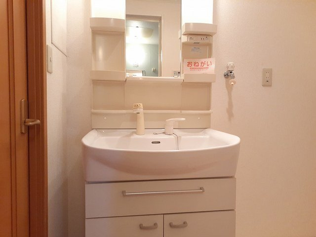 カーサ・アルドーレＢの洗面所