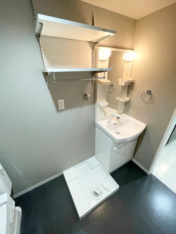 ルミエール十一番町の洗面所