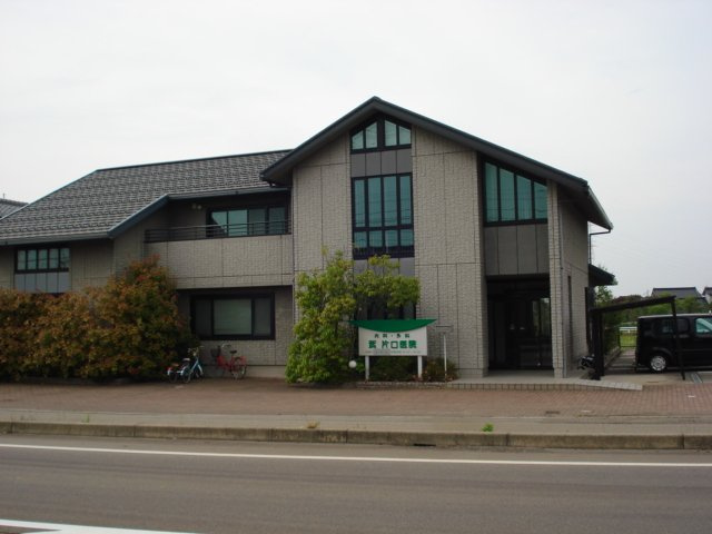 サイネリア－ＫⅡの周辺|武・片口医院まで400ｍ