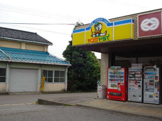 サイネリア－ＫⅡの周辺|ヤングドライまで800ｍ