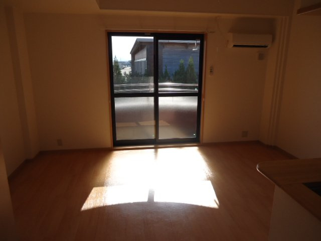 サイネリア－ＫⅡのその他|ＬＤＫ