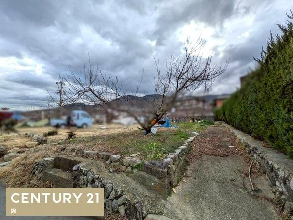 かつらぎ町妙寺　土地のその他