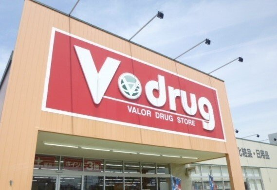 イル　レジーナ　Ⅱの周辺|Ｖドラッグまで1100m