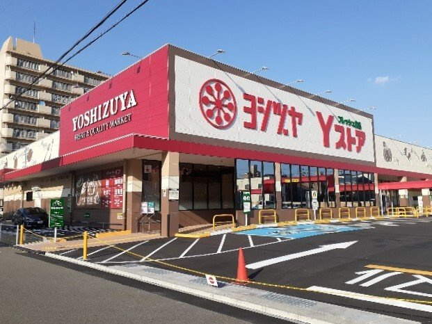 イル　レジーナ　Ⅱの周辺|ヨシヅヤ　Ｙストアまで190m