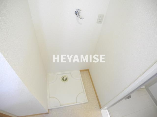 ウィルモアアサイのその他