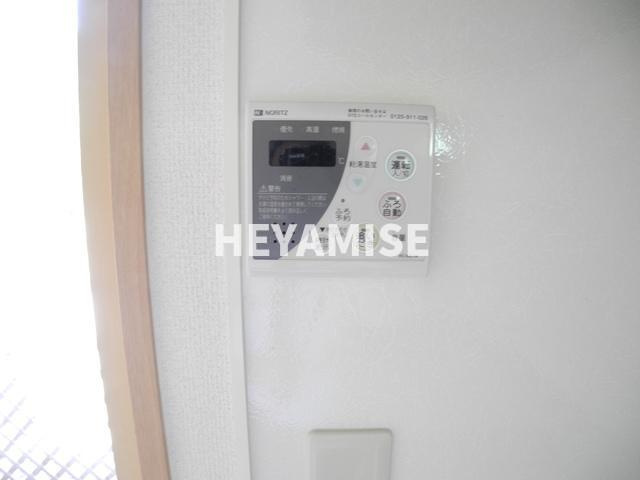 ウィルモアアサイのその他