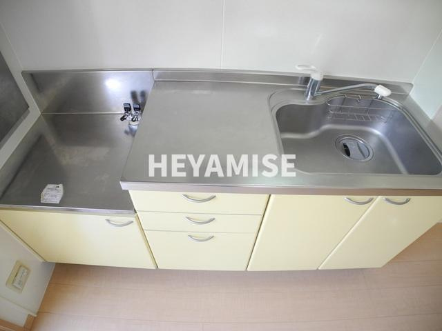 ウィルモアアサイのその他