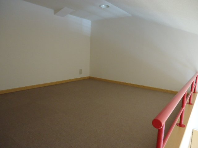 サイネリア－ＫⅡのその他|ロフト