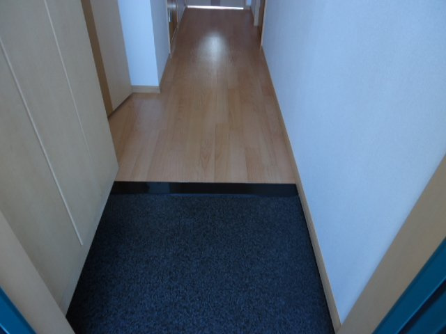 サイネリア－ＫⅡの玄関|玄関