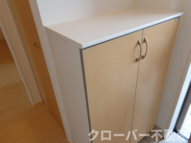 ブルーコスモの収納|下駄箱