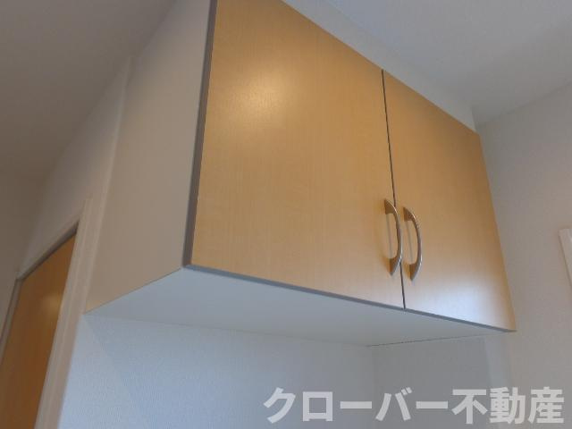 ブルーコスモの収納|下駄箱