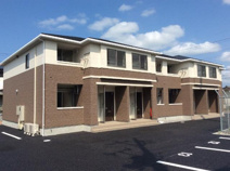 ゼルコバⅡの画像