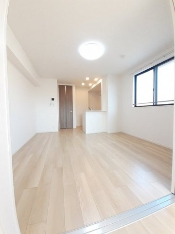 チェリー　ブロッサムのその他