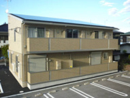 パステルコートの画像