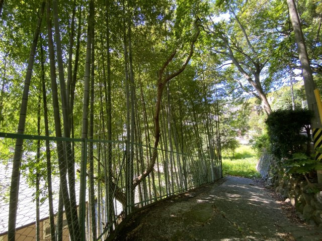 熱海市　西山町の前面道路含む現地写真