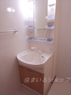 広島市安佐北区亀山１丁目のアパートの洗面所|シャンプードレッサー