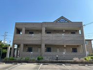 ｍａｒｉｍｏｃｏの画像