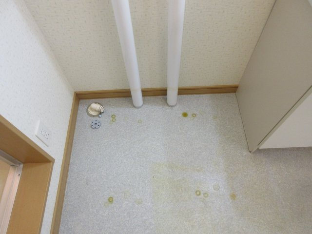 レヴァンテのその他
