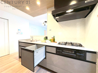 シンプルなデザインと使いやすさを兼ね備えた対面式システムキッチンは、効率的な作業スペースを提供し、家族やゲストとのコミュニケーションを促進します。