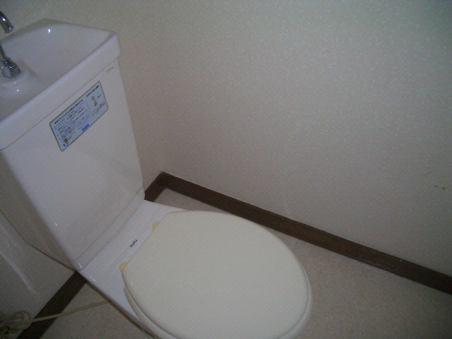 フルハウスのトイレ