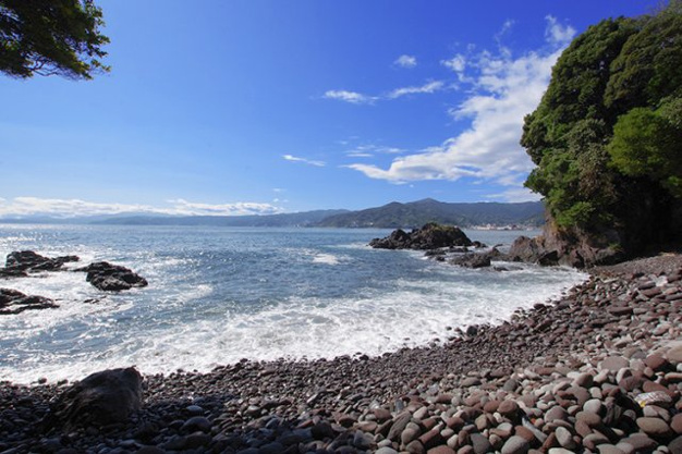 【その他】 | パーク・セレノ真鶴アスール