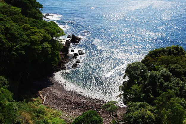 【展望】 | パーク・セレノ真鶴アスール