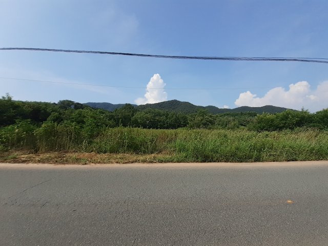 宇土市花園町の売地の外観