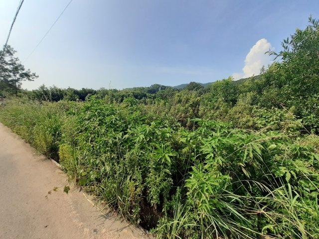 宇土市花園町の売地の外観