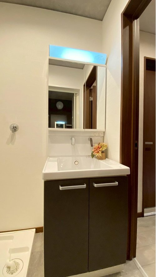 甲子園網引町中古戸建の独立洗面台