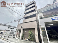 プリムローズの画像