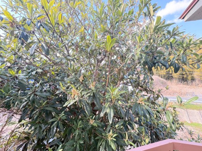 【展望】 | 第2琴屋荘