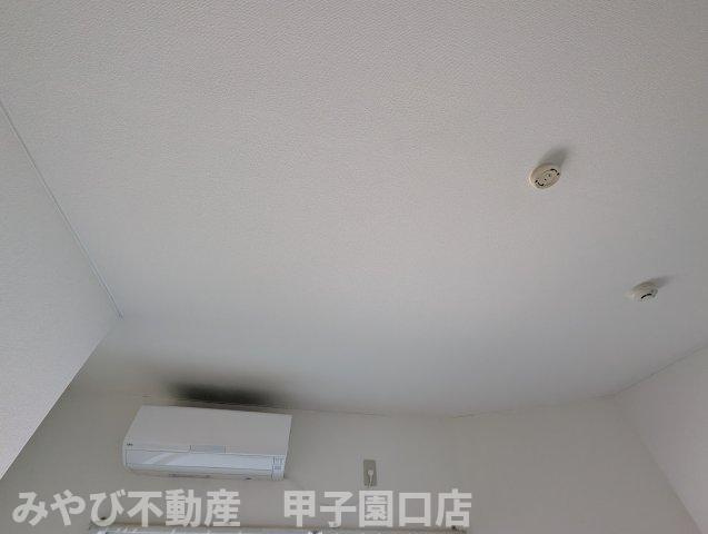 ex21瓦林のその他