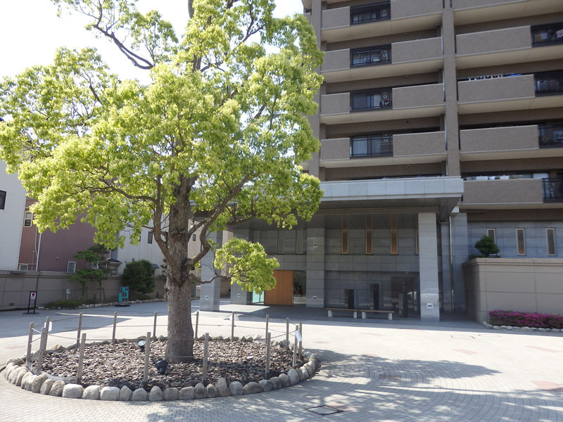 コスモ箕面ガーデンフォルムのエントランス